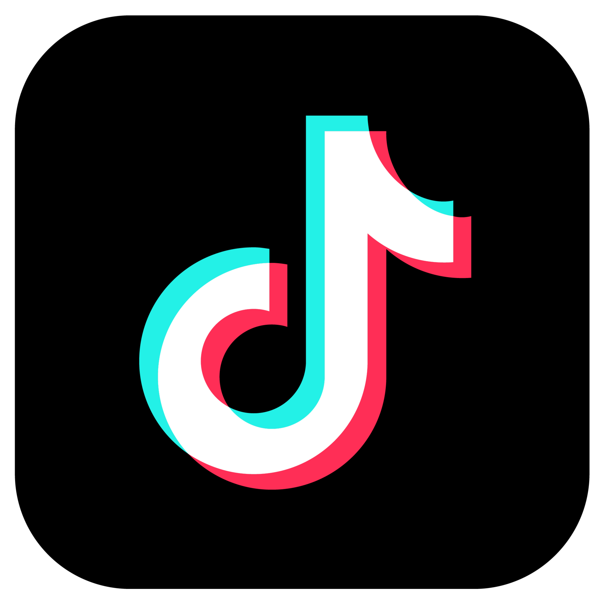 High Quality TikTok Followers [Refill: 30D]♻️